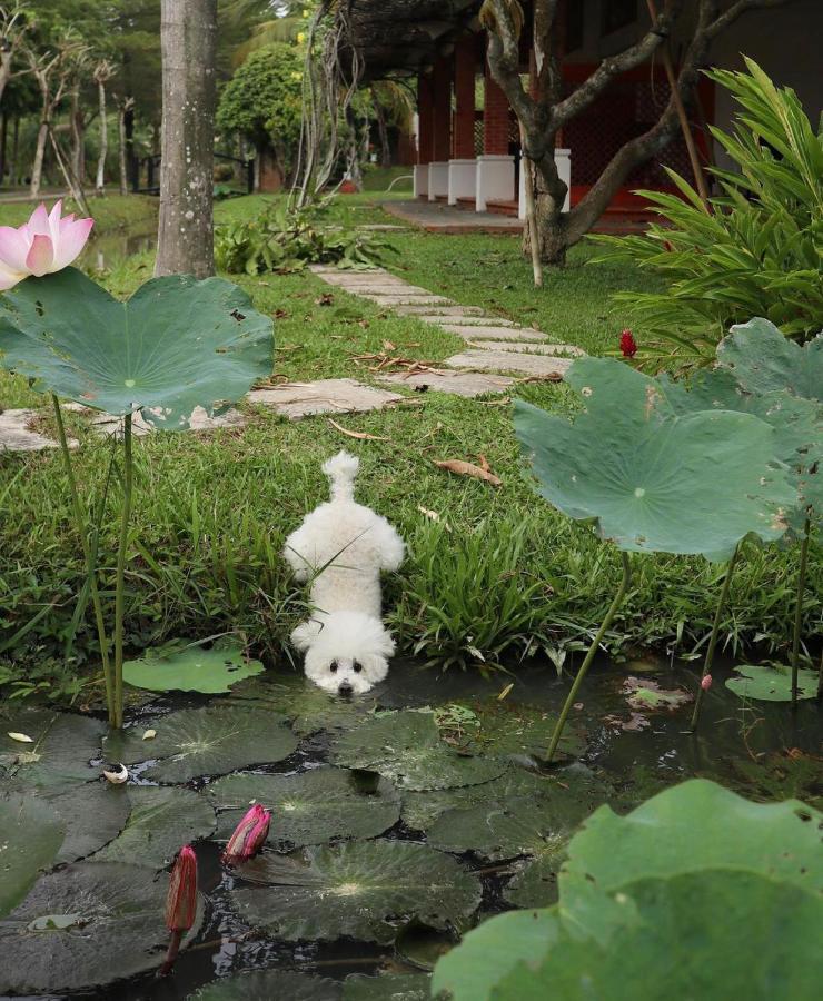 Les Hameaux De L'Orient Cidade de Ho Chi Minh Exterior foto