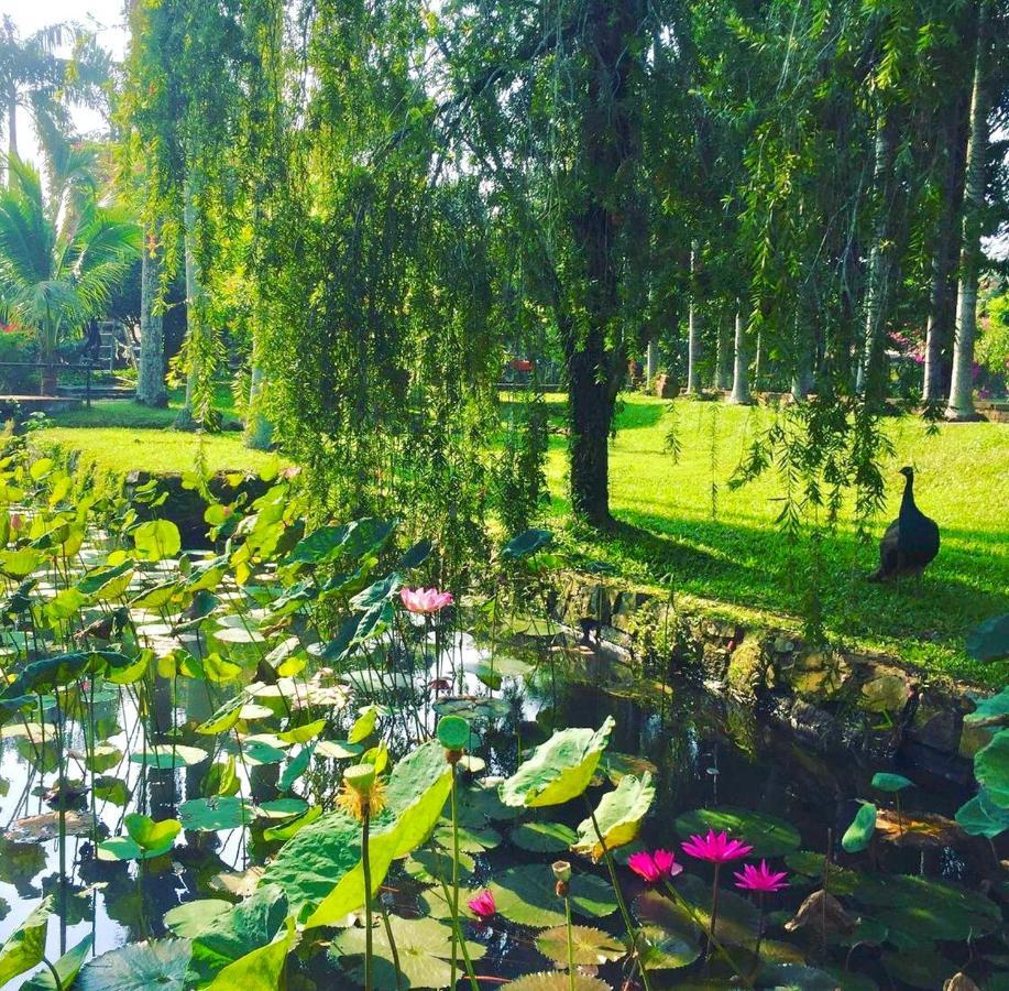 Les Hameaux De L'Orient Cidade de Ho Chi Minh Exterior foto